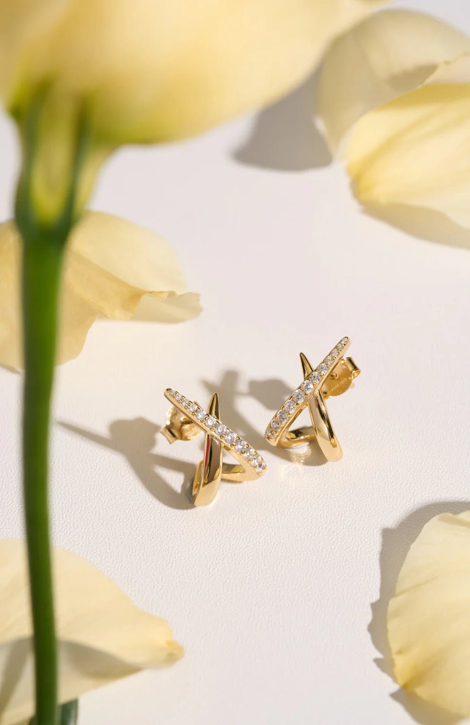 Ania Haie - Oorbellen Gold Kiss Polished Pavé Studs - Luxedy