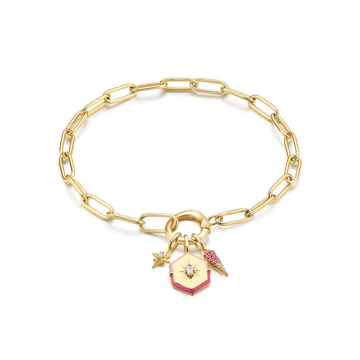 Ania Haie - POP CHARMS Bedel voor Armband of ketting - Pink Ombré - Luxedy