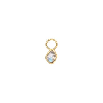 Ania Haie - POP CHARMS Bedel voor Oorbel - Labradorite Gold - Luxedy