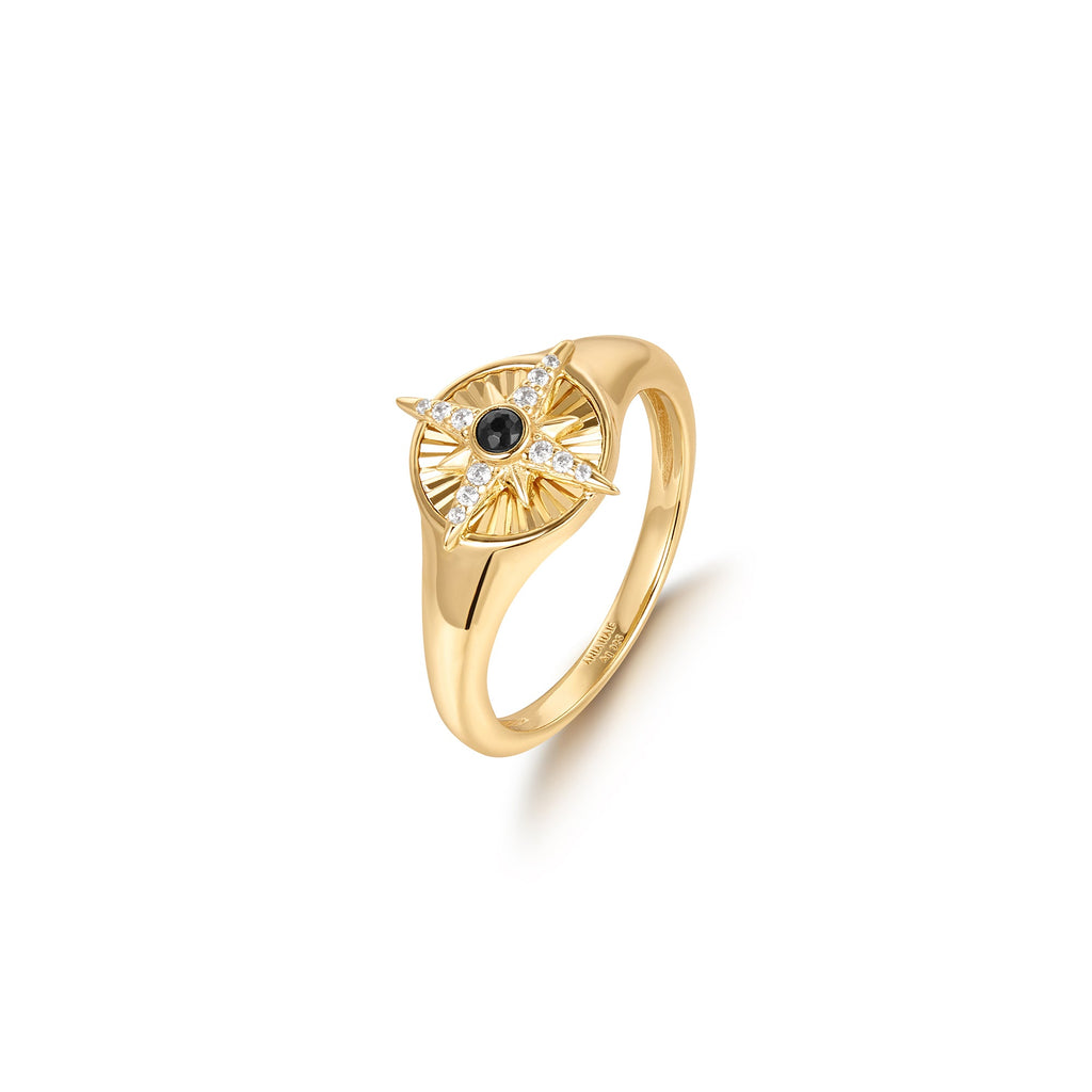 Ania Haie - Ring Gold Star Singet - Luxedy