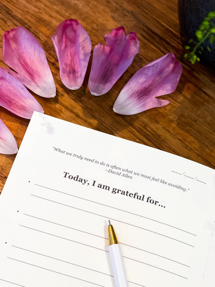 Boek/Journal - The Gratitude List Mint Green - Luxedy
