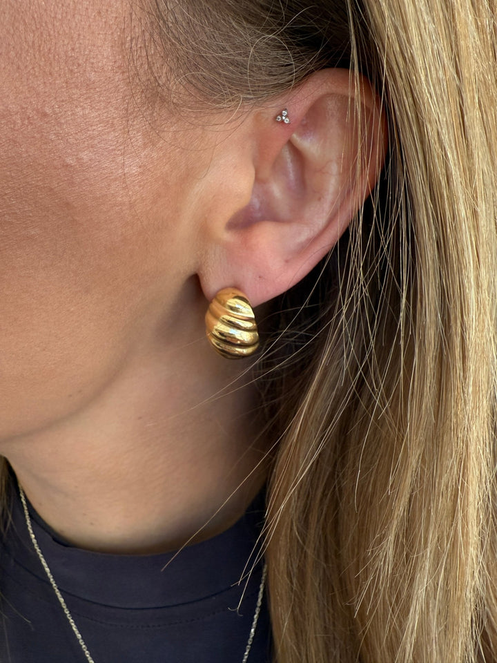 Oorbellen - Marina Shell Studs Gold - Luxedy