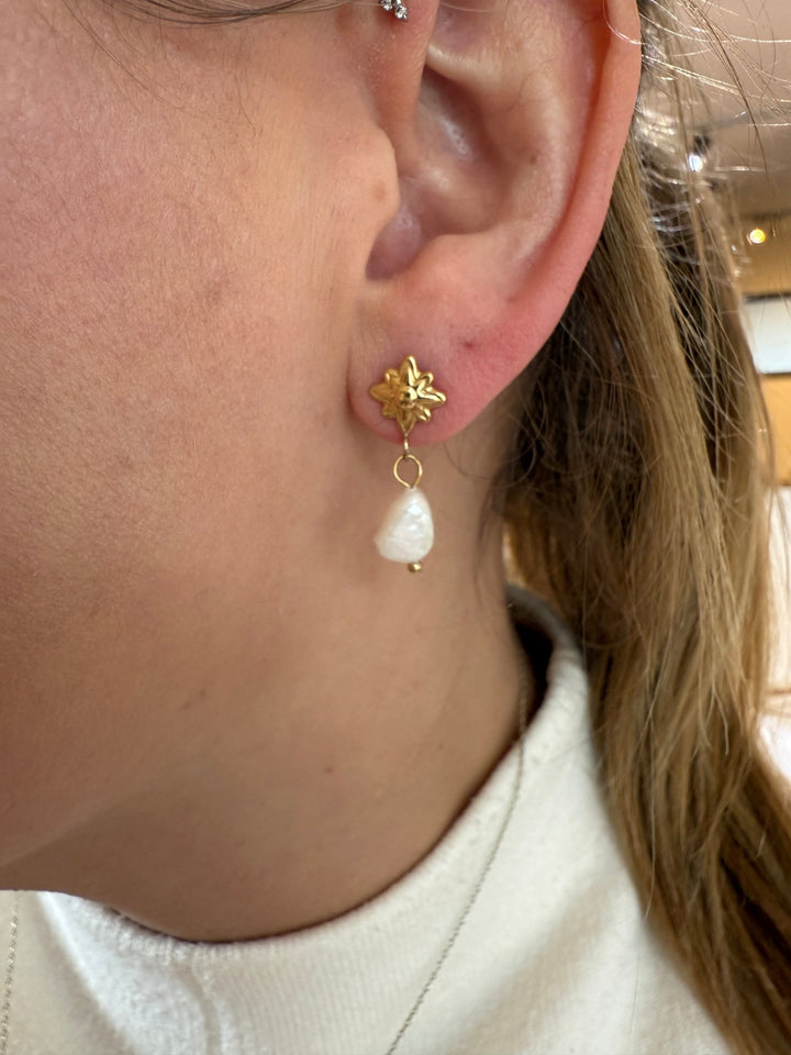 Oorbellen - Zusi Gold - Luxedy